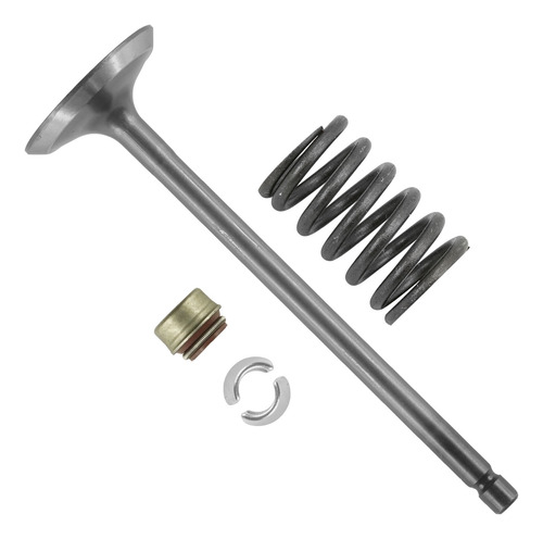 Caltric 0809-229 0809-040 0809-231 0830-186 Exhaust Valv Cch