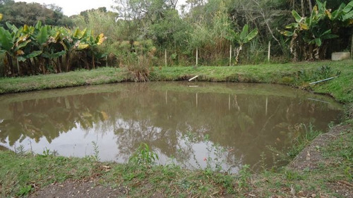 Imagem 8 de 15 de Chácara Excelente Padrão Prox. Cidade | 49630 - 49630