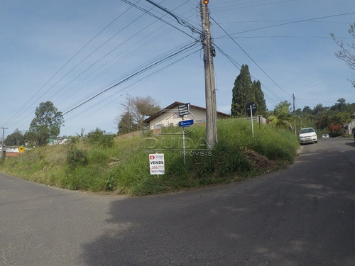 Imagem 3 de 4 de Terreno - Ceara - Ref: 22510 - V-22510