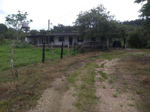 Imagem 27 de 30 de Fazenda - Fa00001 - 33289252