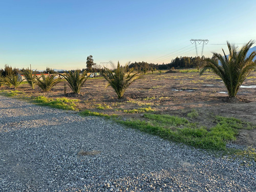 Parcela En San Francisco De Mostazal, Sector Santa Teresa