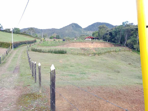 Lindo Lote Con Agua Propia En Venta En El Carmen De Viboral Antioquia