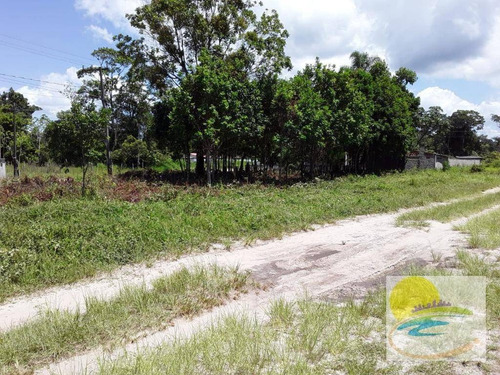Imagem 6 de 10 de Terreno À Venda, 811 M² Por R$ 250.000,00 - Brandalize - Itapoá/sc - Te0605