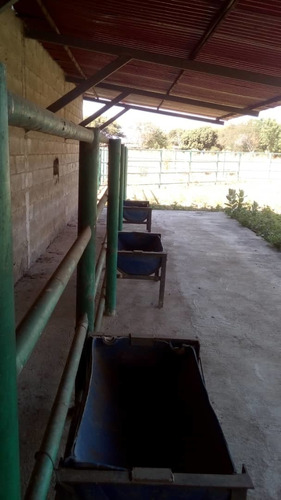 Imagen 3 de 9 de Venta De Finca En Santa Cruz De Aragua. Via El Guaril