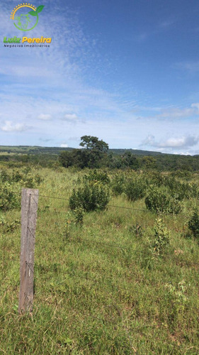 Imagem 12 de 15 de Fazenda À Venda Em Corguinho - Ms - 1.063 Hectares (dupla Aptidão) - 1941
