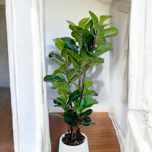 Ficus Lyrata Planta Arvore Artificial Com Vaso Toque Real