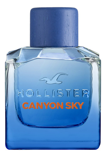 Perfume Hombre Hollister Canyon Sky For Him Edt 100ml