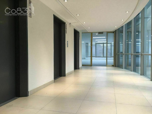 Imagen 13 de 18 de Renta - Oficina - Thiers - 538 M2 - Piso 14