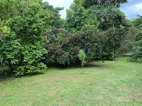 Imagen 5 de 30 de Preciosa Quinta-finca En Labrador De San Mateo De Alajuela, Todos Los Servicios