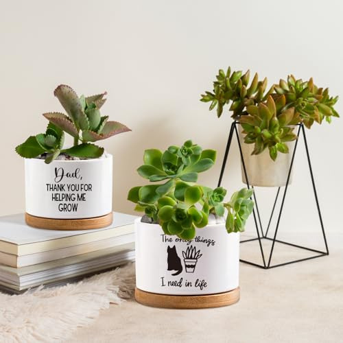 Maceta Para Suculentas Cactus Flor Maceta De Planta De Cerám