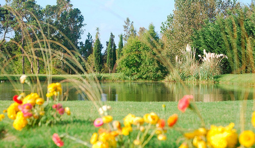Parcela Parque Del Recuerdo