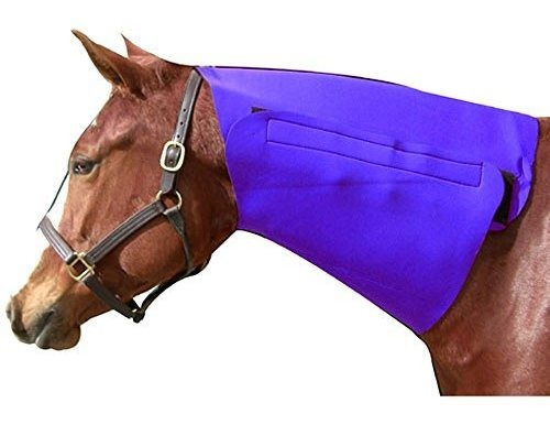 Intrepid Internacional Neck Sweat - Blue Horse.