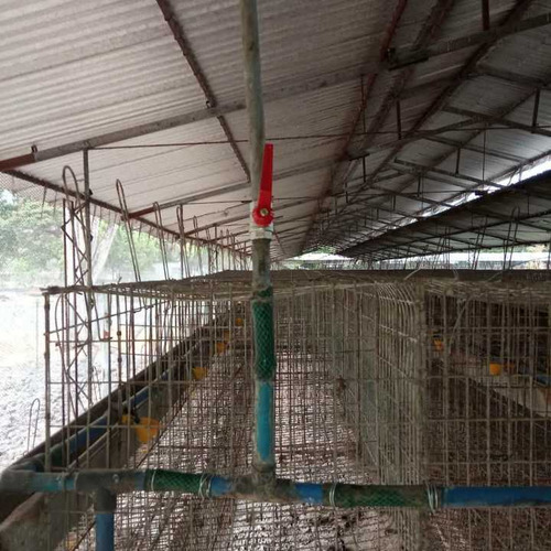 Imagen 11 de 17 de Finca De 12 Hectareas De Gallinas Ponedoras En Villa De Cura