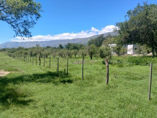 Terreno En Los Molles, Merlo, San Luis De 1600 M²