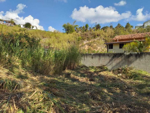 Imagen 6 de 6 de Terreno 1300m2 Colinas De Carrizal