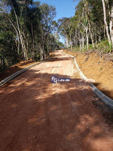 Imagem 6 de 17 de Chácara À Venda, 20000 M² Por R$ 385.200,00 - Capivari - Bocaiúva Do Sul/pr - Ch0043