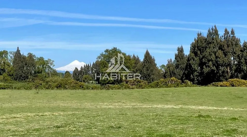 Cod35266 Vende Agrícola Campo De 36 Ha. Indigena En Lautaro