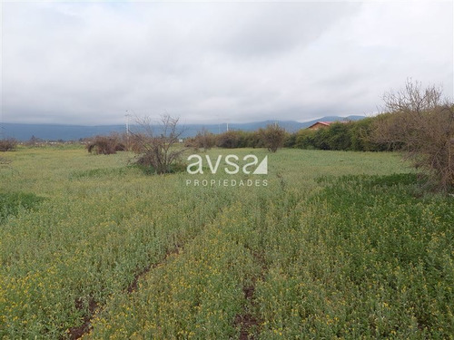 Imagen 3 de 18 de Sitio En Venta En Colina