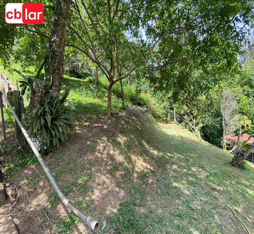 Imagem 30 de 30 de Chacara - Ch00250 - 70405644