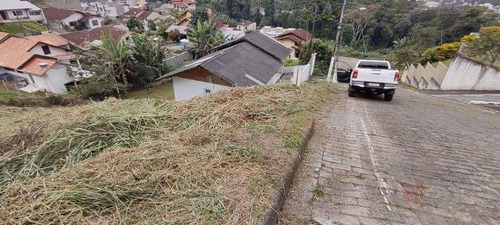 Imagem 8 de 12 de Terreno À Venda, 450 M² Por R$ 150.000,00 - Escola Agrícola - Blumenau/sc - Te0093