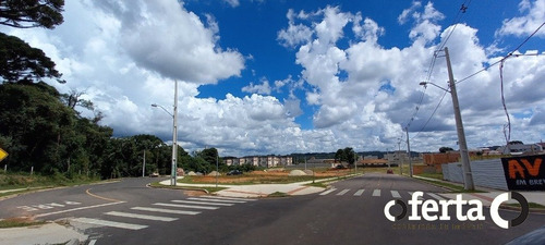 Imagem 10 de 15 de Terreno - Capela Velha - Ref: 865 - V-865
