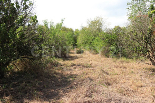 Terreno En Venta En Las Puentes, Gil De Leyva, Montemorelos, Nuevo León