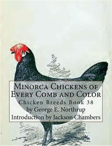 Minorca Chickens Of Every Comb And Color : Chicken Breeds...