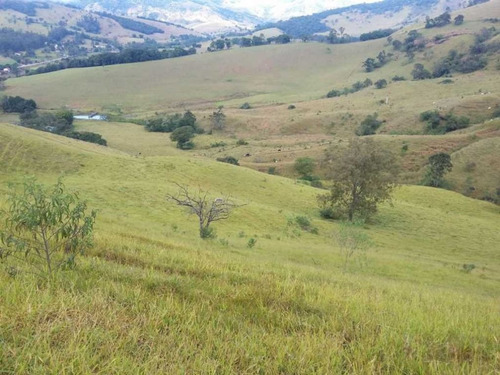 Imagem 28 de 29 de Fazenda De Gado Com 263 Hectares Itajuba - 36525