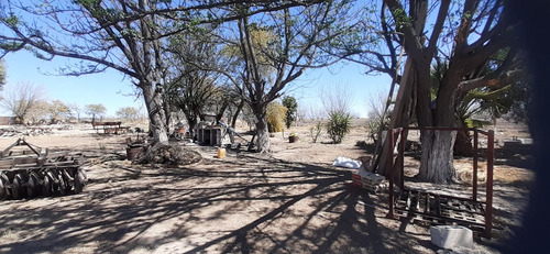 Terreno Con Nogales En Venta En San Pedro De Las Colonias, Coahuila
