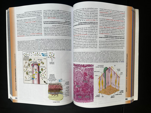 Texto Y Atlas Ross 8a Ed Histología Wojciech Pawlina-2 Tomos