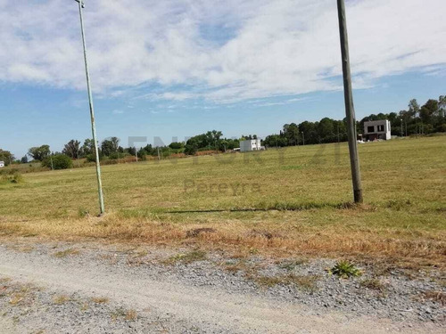 Imagen 28 de 30 de 486 Y 147. Lote De 990 M2 En Venta - Fincas De Gorina.-