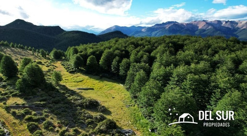 Excelente Campo Con Orilla De Río