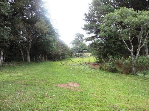 Imagem 11 de 15 de Area - Mato Queimado - Ref: 2753 - V-gi2759