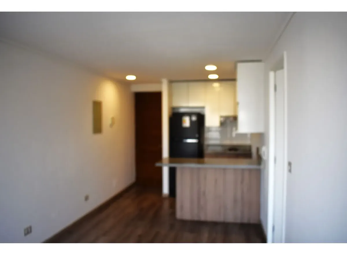 Imagen 3 de 27 de Arriendo Departamentos Nuevos, 1d1b, Metro Gruta De Lourdes