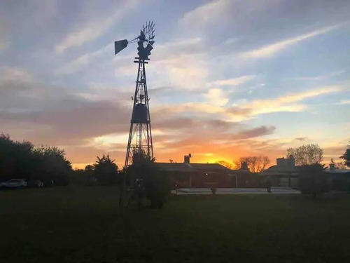 Imagen 8 de 22 de Quinta Venta 5000m2 Mercedes Buenos Aires