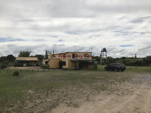 Imagen 25 de 30 de Venta De Chacra Sobre Ruta 9 A 30 Km De Jose Ignacio