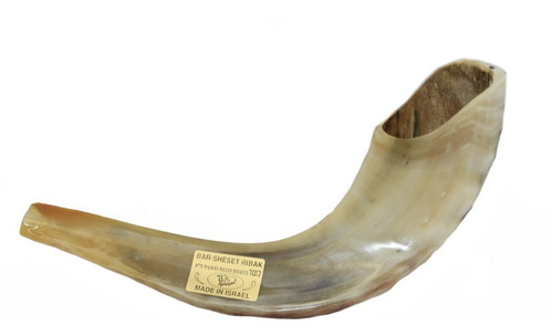 Imagem 3 de 10 de Shofar Chifre De Carneiro De Tocar Ou Ungir/unção + Suporte - Original De Israel