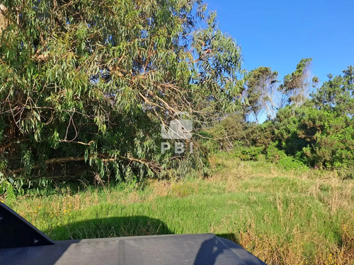 Terreno Balneario Buenos Aires - Ref : Pbi13073