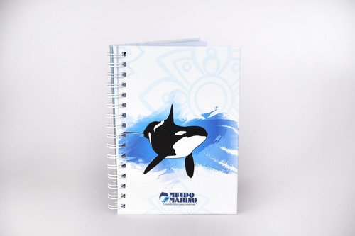 Kit Grandes Aventuras: Peluches + Vaso + Taza + Cuaderno