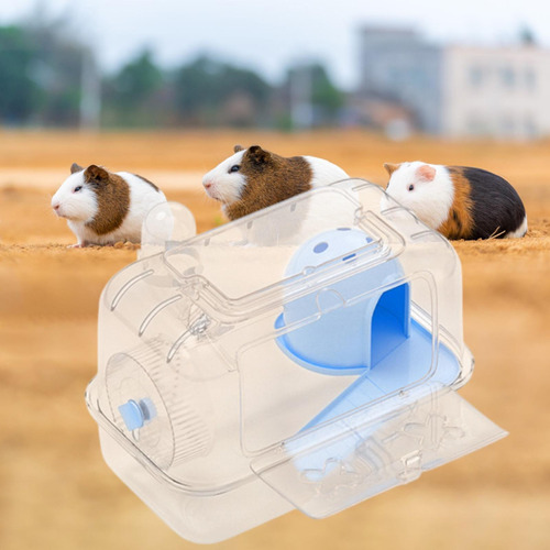 Hábitat De Jaula De Hámster, Ejercicio Azul Transparente