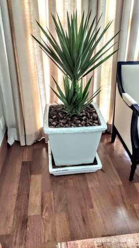Imagem 2 de 5 de Serviços Completo De Jardinagem Com Ótimos Preços