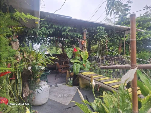 Venta Casa Campestre Salento. Quindío - Colombia Cod: 9054527