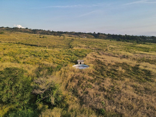 Imagen 21 de 24 de Granja En Venta Yaritagua 12 Hectareas Cod. 23-17577