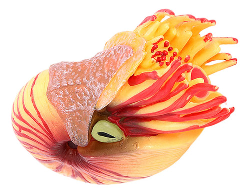 Adorno Simulado Con Forma De Nautilus, Modelo De Animal Mari