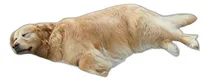 Comprar Camas Ortopédicas Para Perros Grandes - Sofá Para Mascotas C
