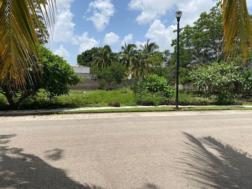 Terreno En Venta En Privada Montecristo