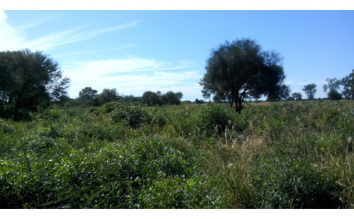 Campo En Venta En Chaco 1250 Hectareas Mixto Financiacion