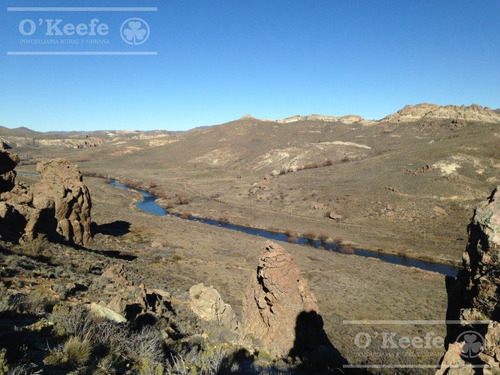Campo En Venta De 635 Has Bariloche, Costa Del Pichileufu, Rio Negro.