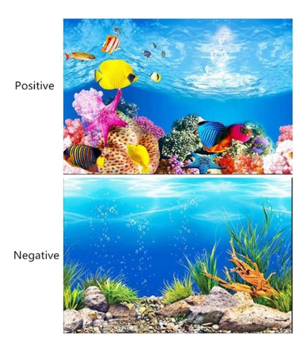 Fondo De Acuario De Doble Cara 50x82cm Tipo A - 50x82cm