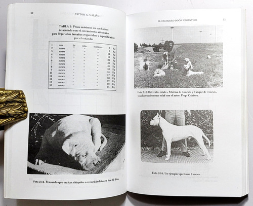 Valiño. El Cachorro Dogo Argentino. Cría De Perros. (Usado)